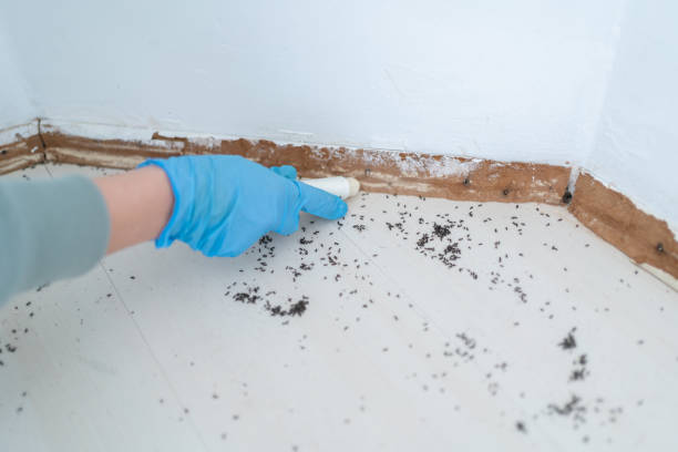 Best Pest Prevention Services  in Blissfield, MI